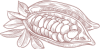 14.png 14.png